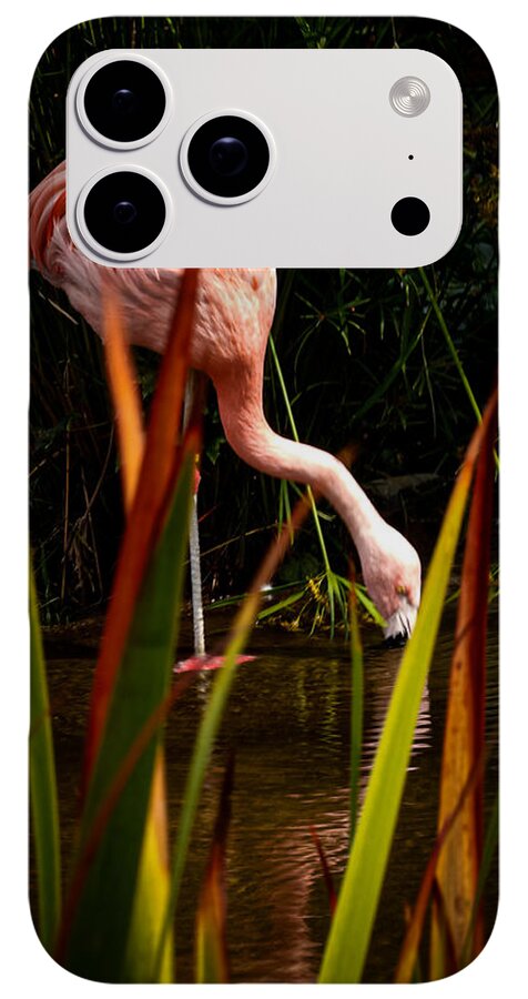 Taking a drink - Phone Case