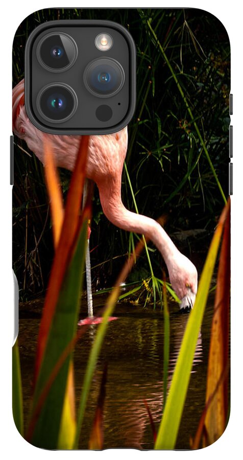Taking a drink - Phone Case