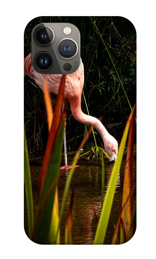 Taking a drink - Phone Case