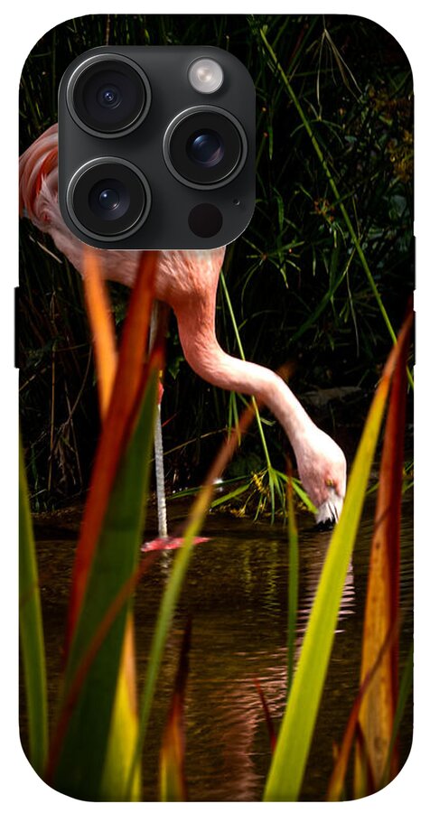 Taking a drink - Phone Case