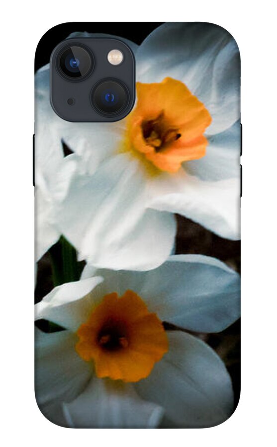 Three Daffodils in Bloom - Phone Case