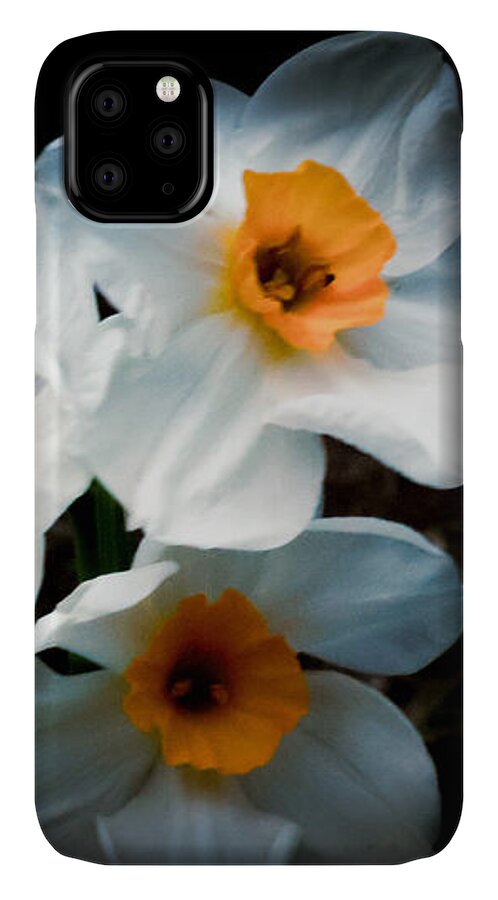 Three Daffodils in Bloom - Phone Case