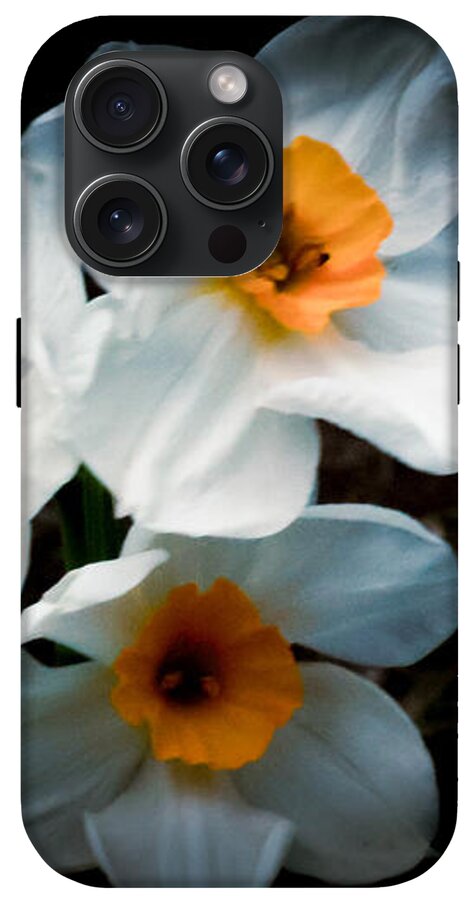 Three Daffodils in Bloom - Phone Case