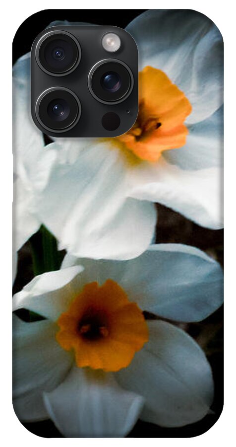 Three Daffodils in Bloom - Phone Case