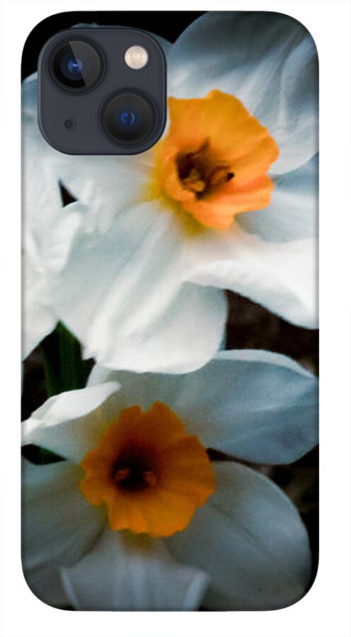 Three Daffodils in Bloom - Phone Case