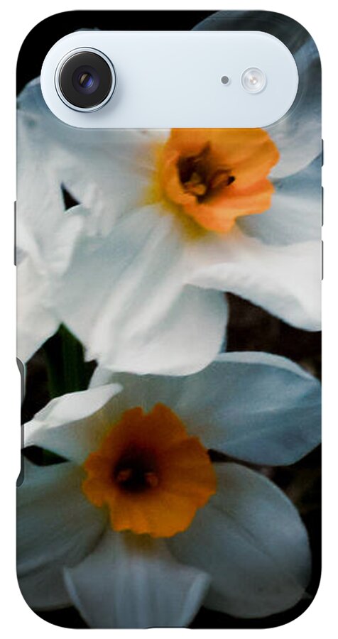 Three Daffodils in Bloom - Phone Case