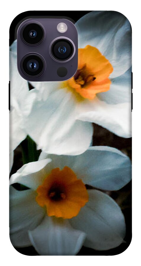 Three Daffodils in Bloom - Phone Case