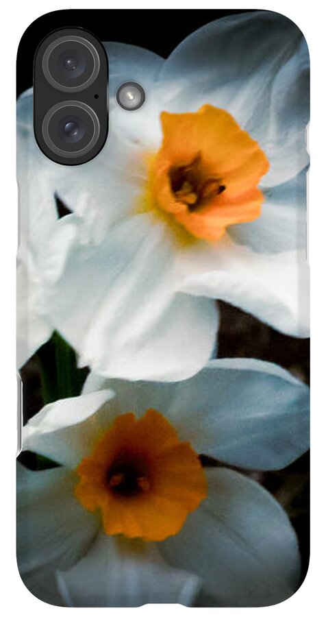 Three Daffodils in Bloom - Phone Case