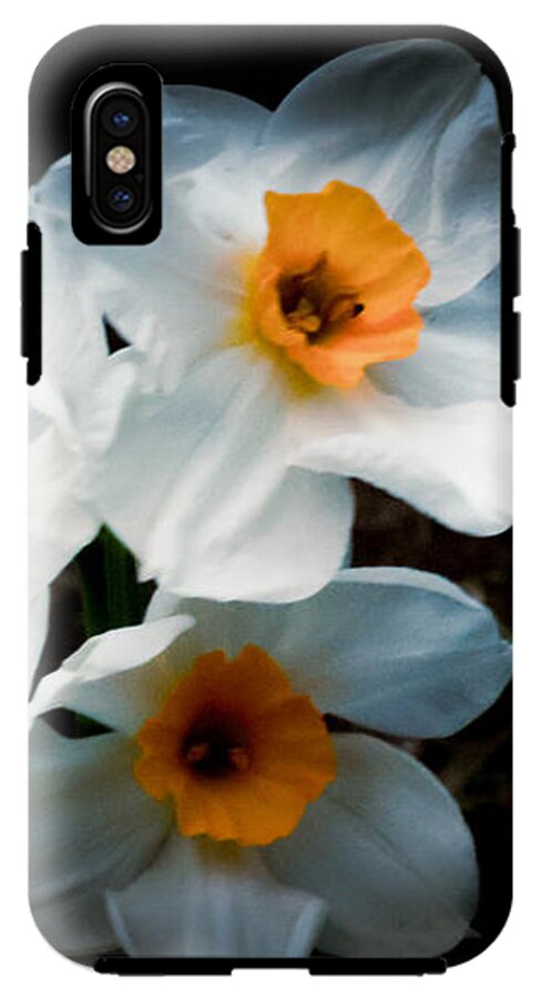 Three Daffodils in Bloom - Phone Case