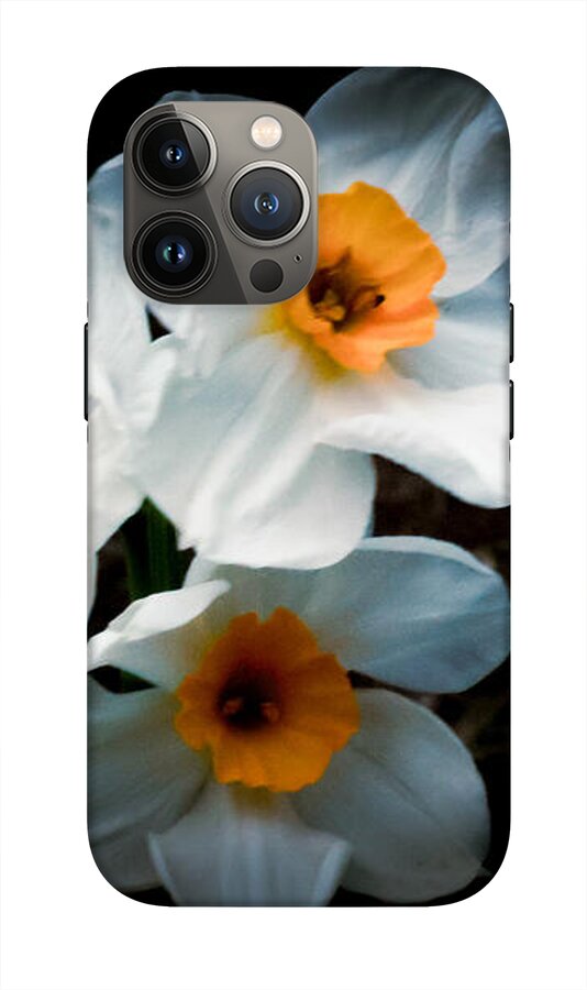 Three Daffodils in Bloom - Phone Case