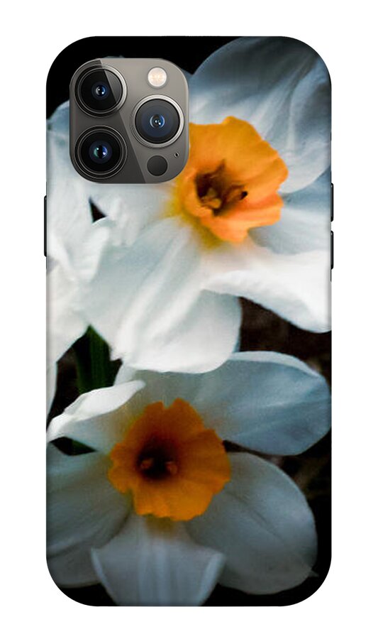 Three Daffodils in Bloom - Phone Case