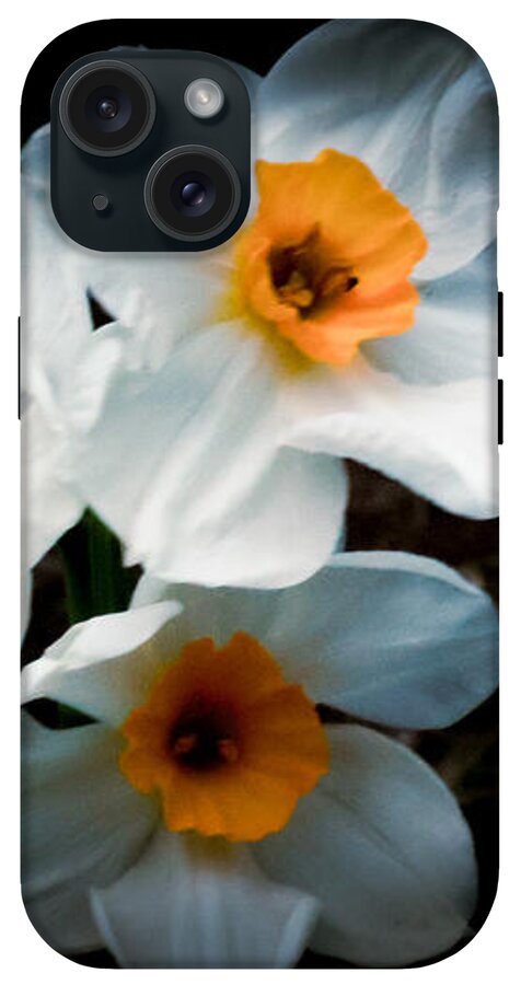 Three Daffodils in Bloom - Phone Case