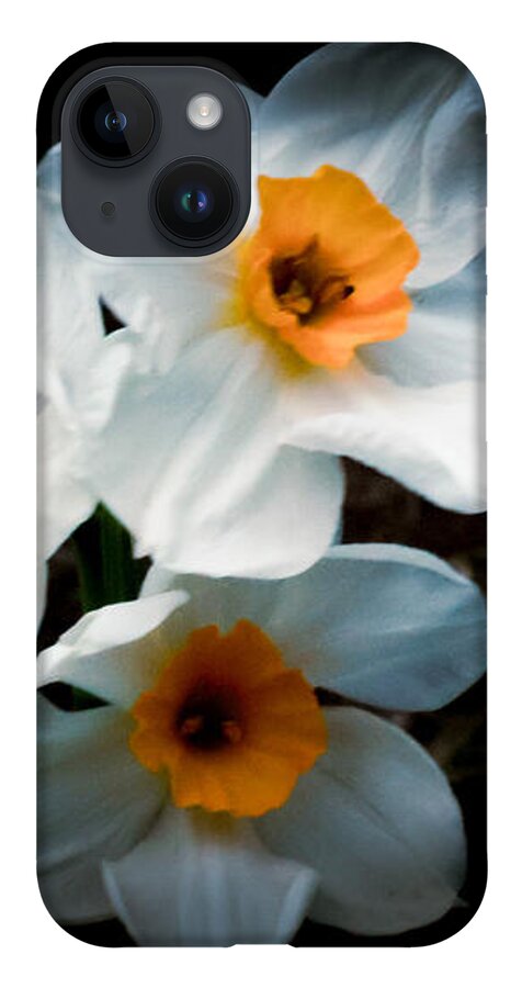 Three Daffodils in Bloom - Phone Case