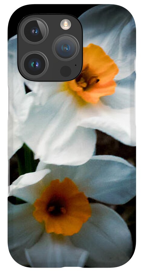 Three Daffodils in Bloom - Phone Case