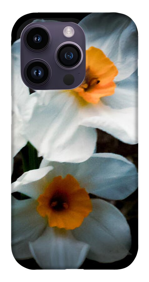 Three Daffodils in Bloom - Phone Case