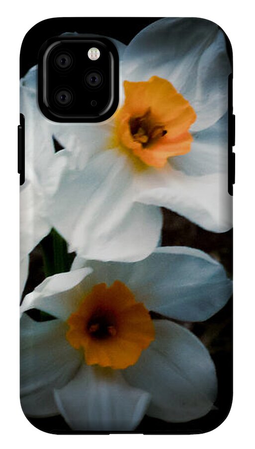 Three Daffodils in Bloom - Phone Case