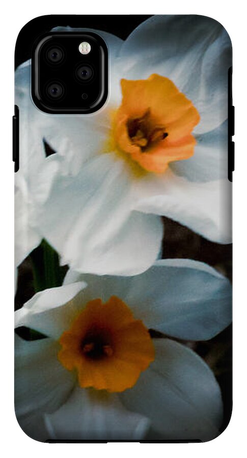 Three Daffodils in Bloom - Phone Case