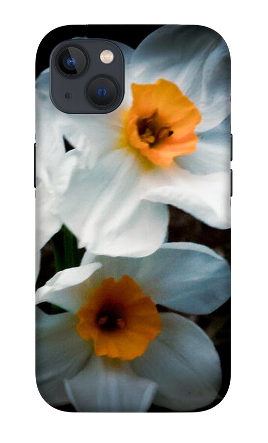 Three Daffodils in Bloom - Phone Case