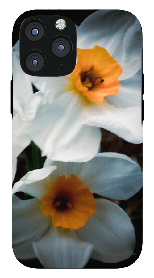 Three Daffodils in Bloom - Phone Case