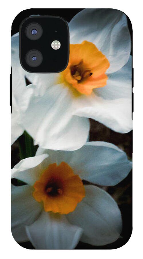 Three Daffodils in Bloom - Phone Case