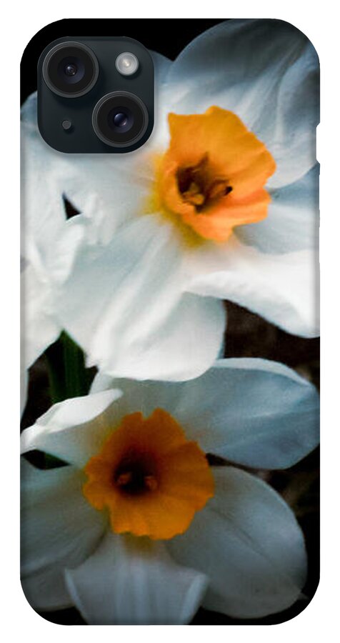 Three Daffodils in Bloom - Phone Case