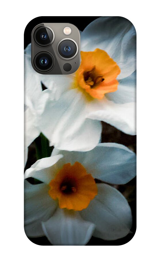 Three Daffodils in Bloom - Phone Case