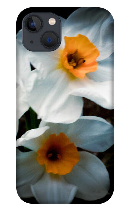 Three Daffodils in Bloom - Phone Case
