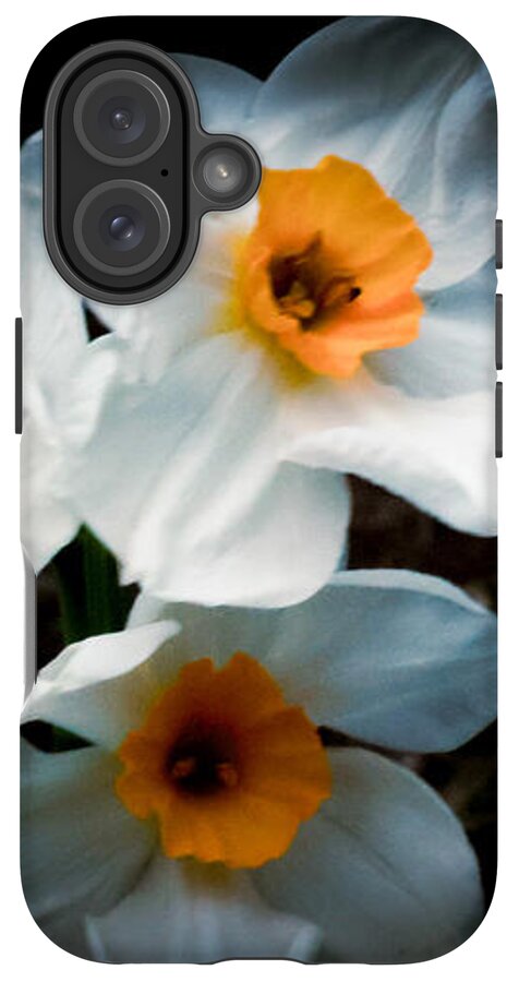 Three Daffodils in Bloom - Phone Case