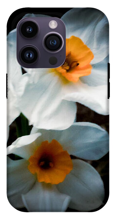 Three Daffodils in Bloom - Phone Case