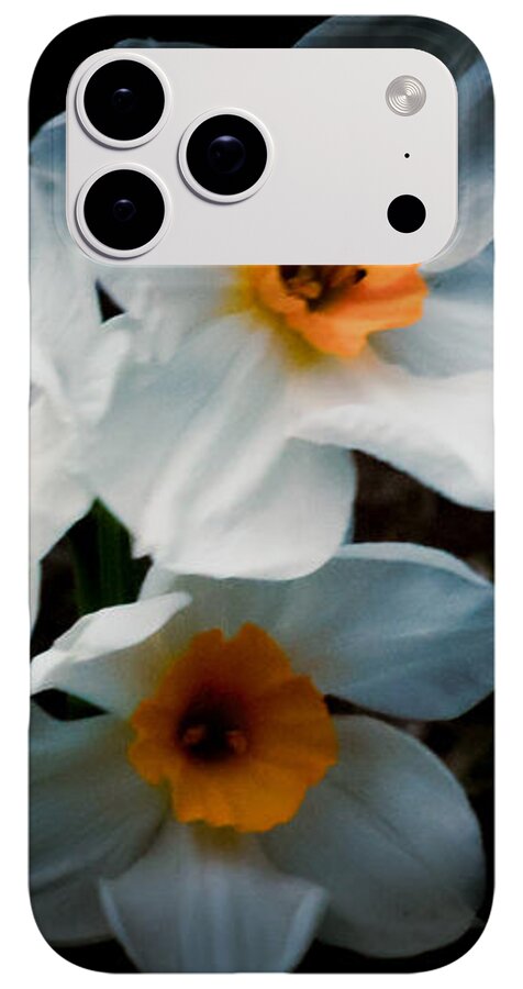 Three Daffodils in Bloom - Phone Case