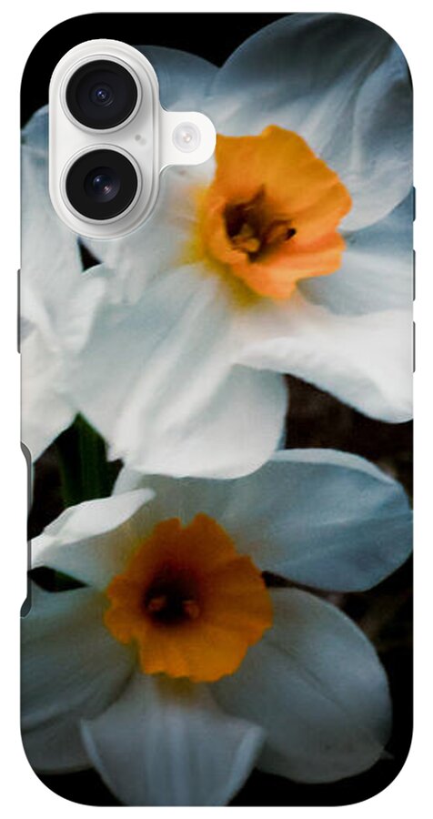 Three Daffodils in Bloom - Phone Case