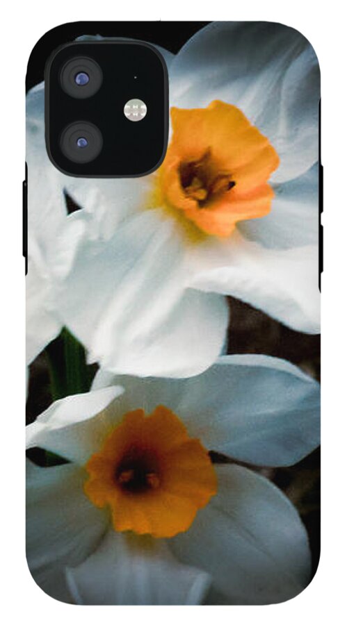 Three Daffodils in Bloom - Phone Case