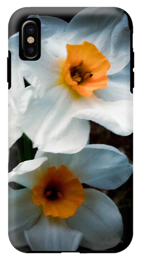 Three Daffodils in Bloom - Phone Case