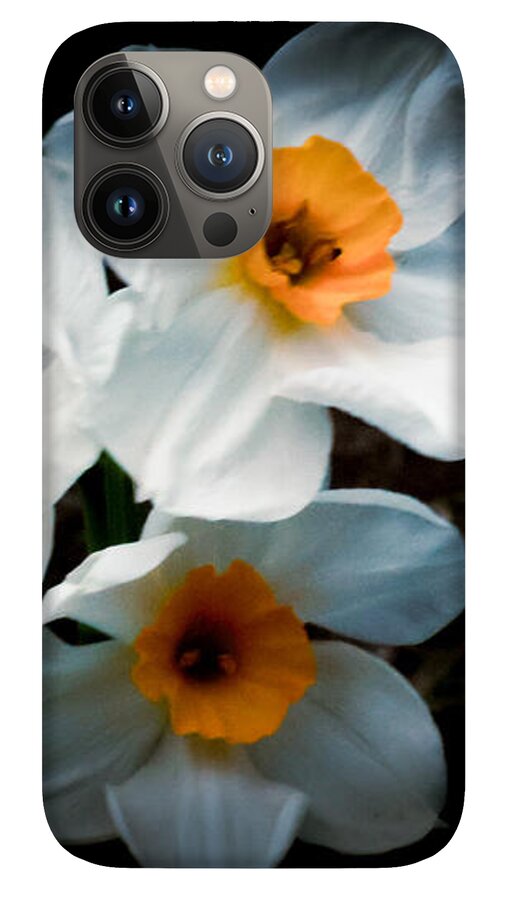 Three Daffodils in Bloom - Phone Case