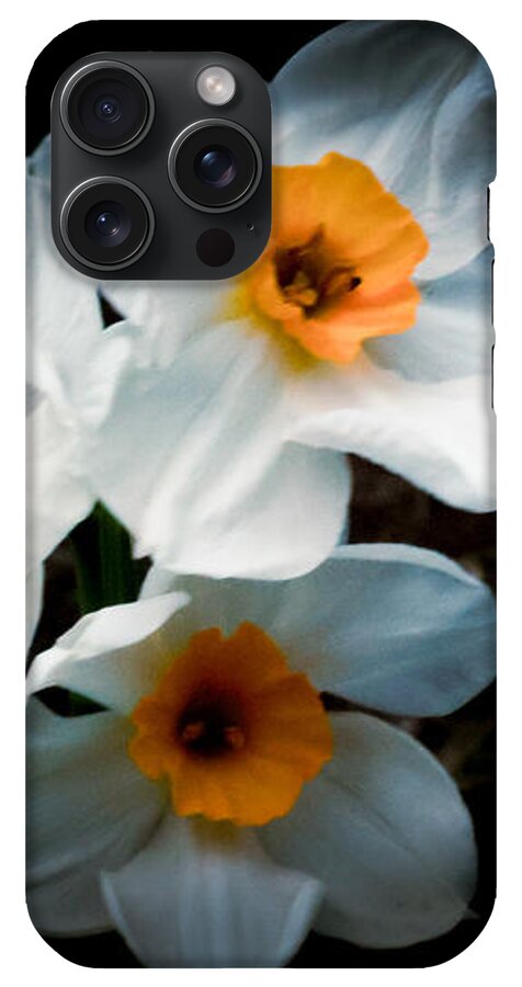 Three Daffodils in Bloom - Phone Case