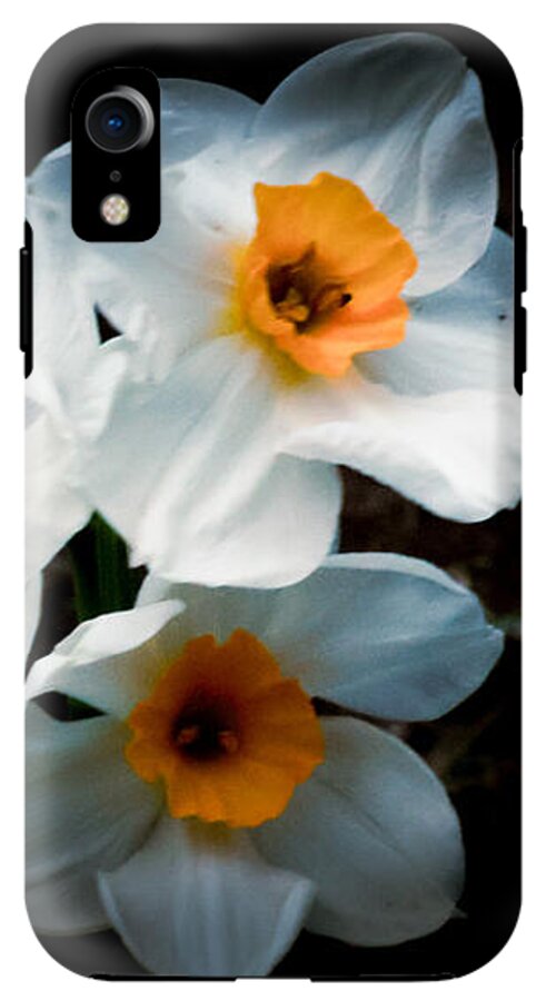 Three Daffodils in Bloom - Phone Case