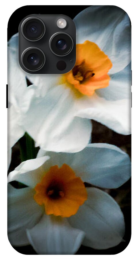 Three Daffodils in Bloom - Phone Case