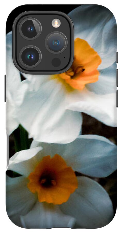 Three Daffodils in Bloom - Phone Case