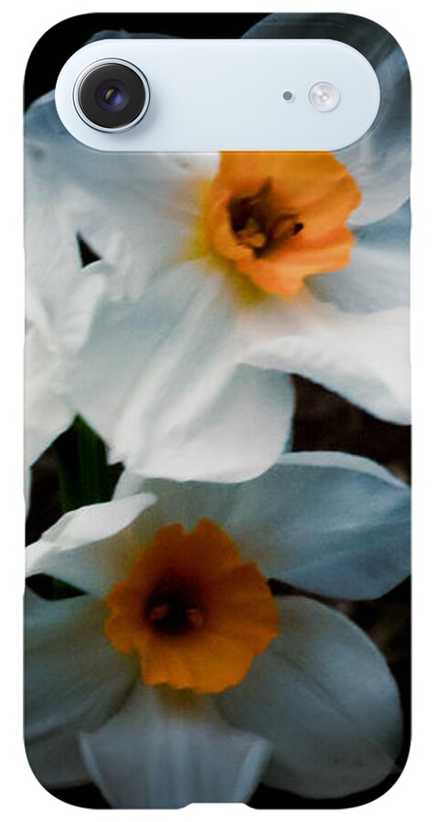 Three Daffodils in Bloom - Phone Case