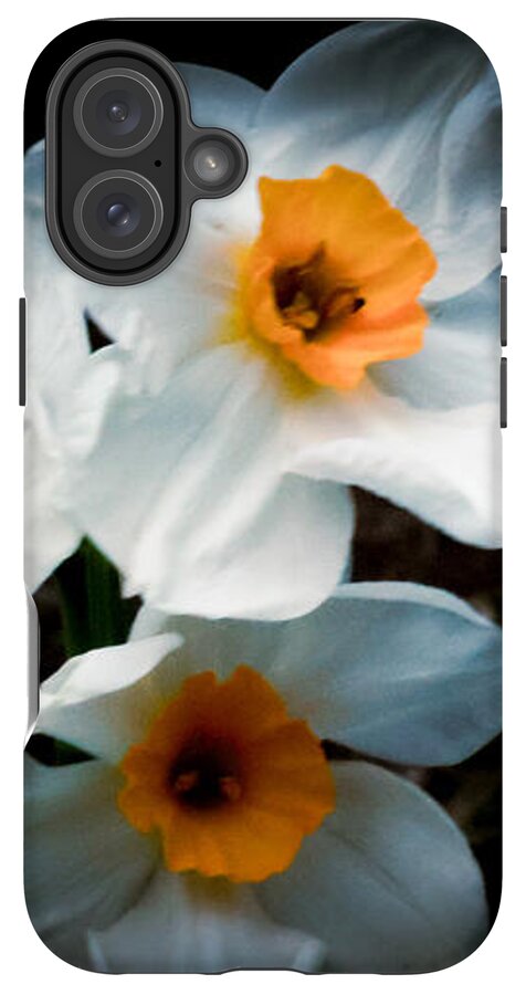 Three Daffodils in Bloom - Phone Case
