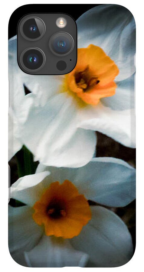 Three Daffodils in Bloom - Phone Case