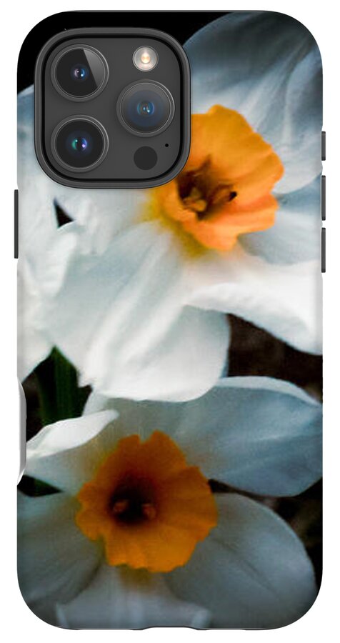 Three Daffodils in Bloom - Phone Case