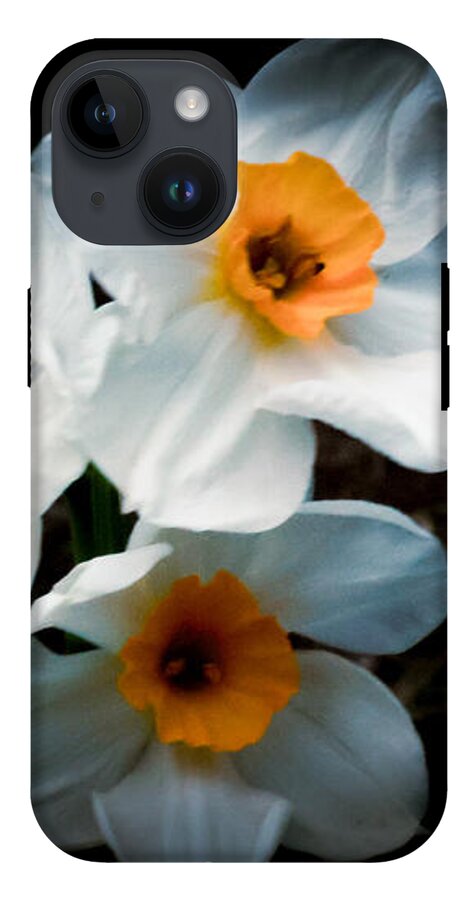 Three Daffodils in Bloom - Phone Case