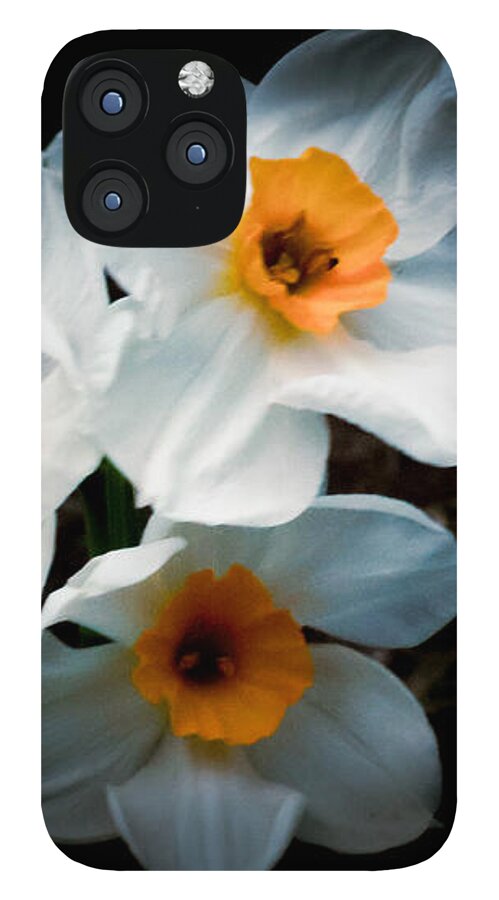 Three Daffodils in Bloom - Phone Case