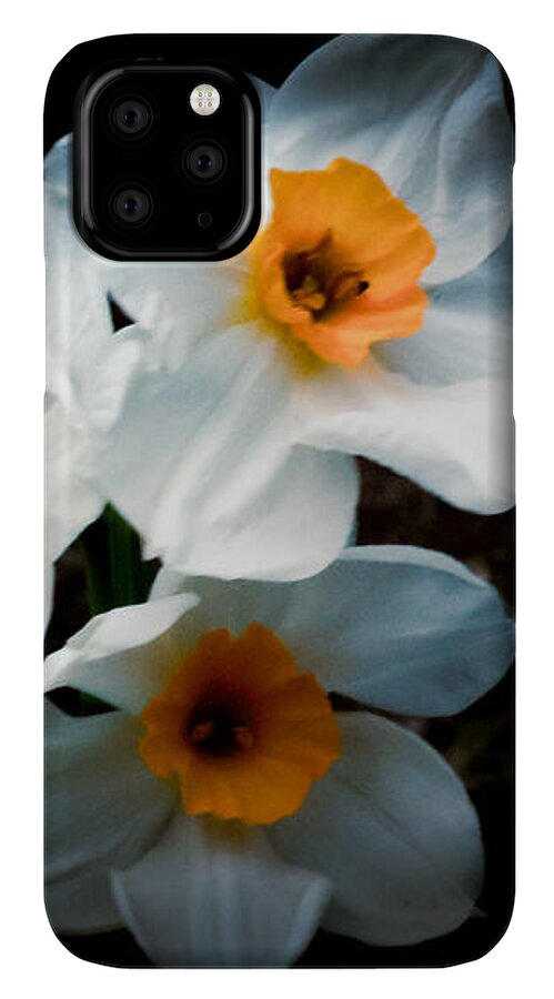 Three Daffodils in Bloom - Phone Case