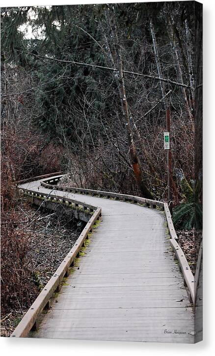 Trail - Canvas Print