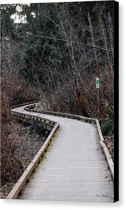 Trail - Canvas Print