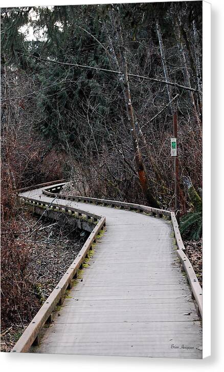 Trail - Canvas Print