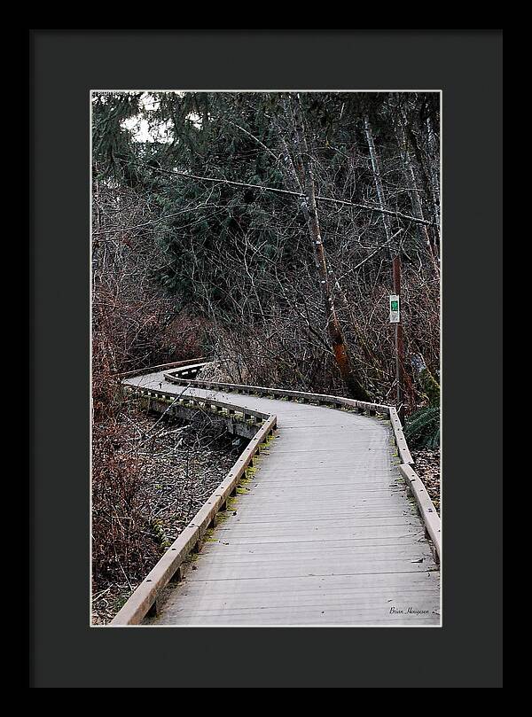 Trail - Framed Print