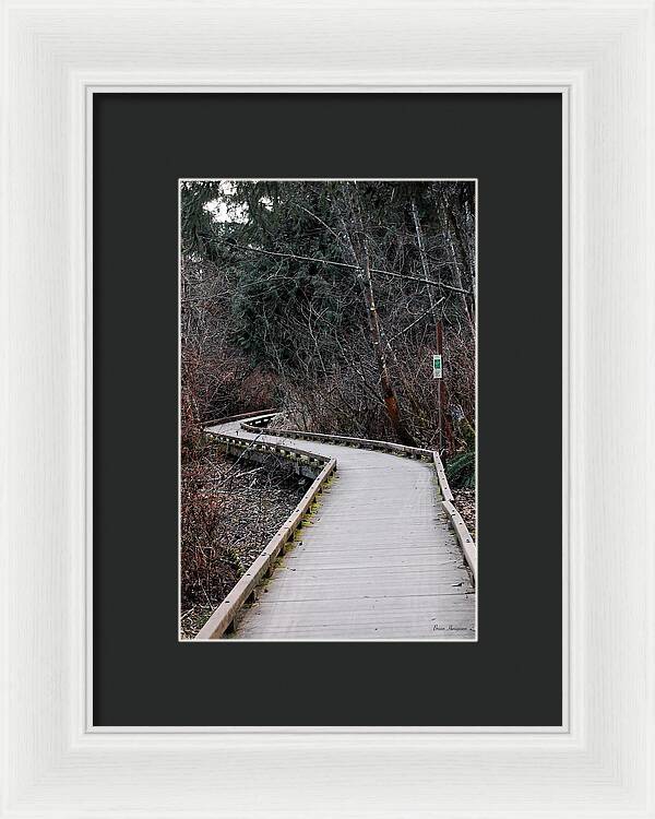 Trail - Framed Print